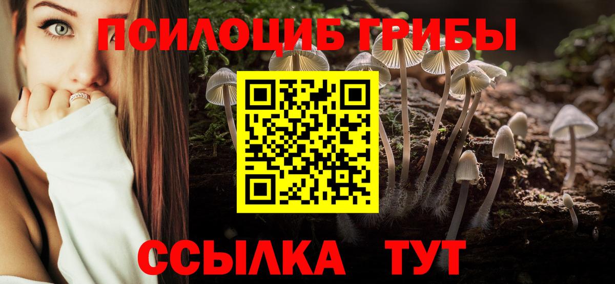 Галлюциногенные грибы Magic Shrooms Пугачёв